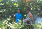 Bhabinkamtibmas-Dorong-Ketahanan-Pangan-Lewat-Budidaya-Sayur-di-Lahan-Fasum-Desa-Kepuhkiriman